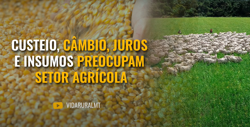PLANO SAFRA 2025/2026 PREOCUPA SETOR AGRÍCOLA